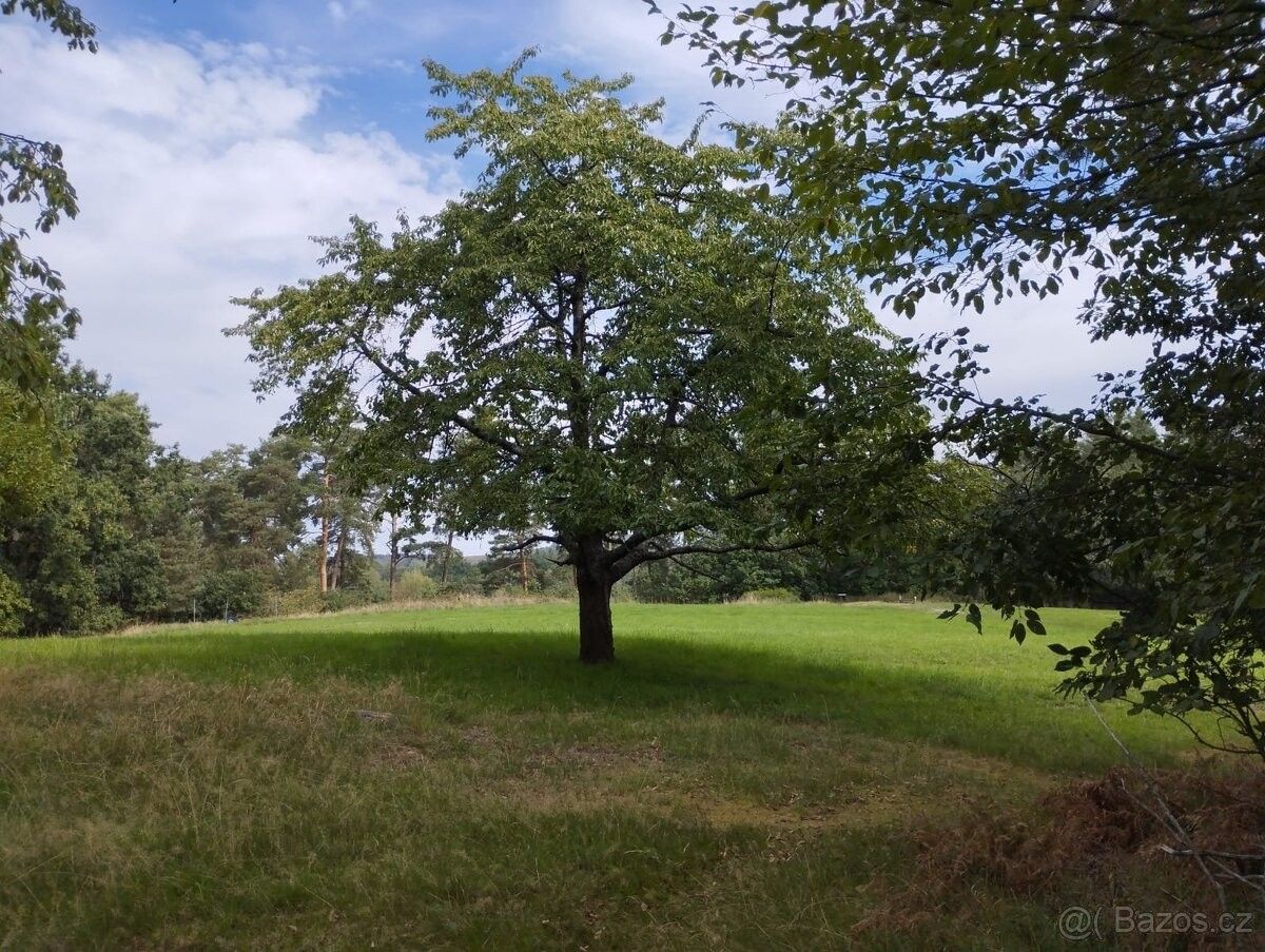 Pozemky pro bydlení, Mnichovo Hradiště, 295 01 - 2
