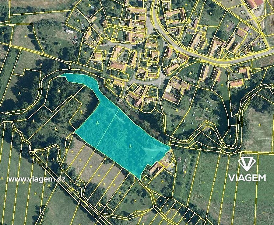 Les · Chroustovice, okres Chrudim, Pardubický kraj - 2
