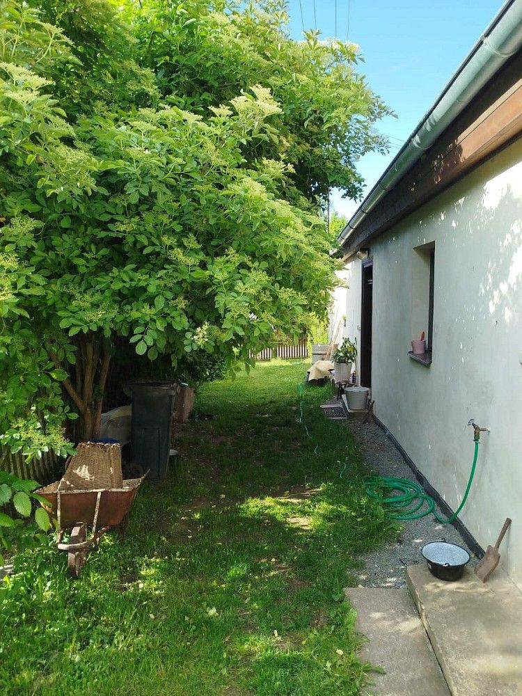 Chalupa · 166 m² · Bělčice, okres Strakonice, Jihočeský kraj - 3