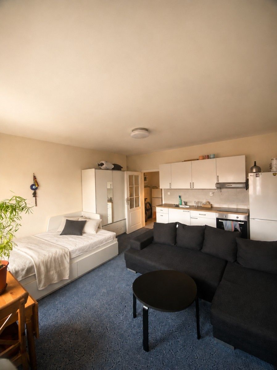 Byty, Dalimilova, Praha - Žižkov, 30 m² - 2
