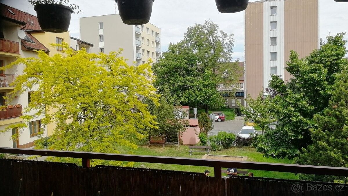 Pronájem byt - Přelouč, 535 01