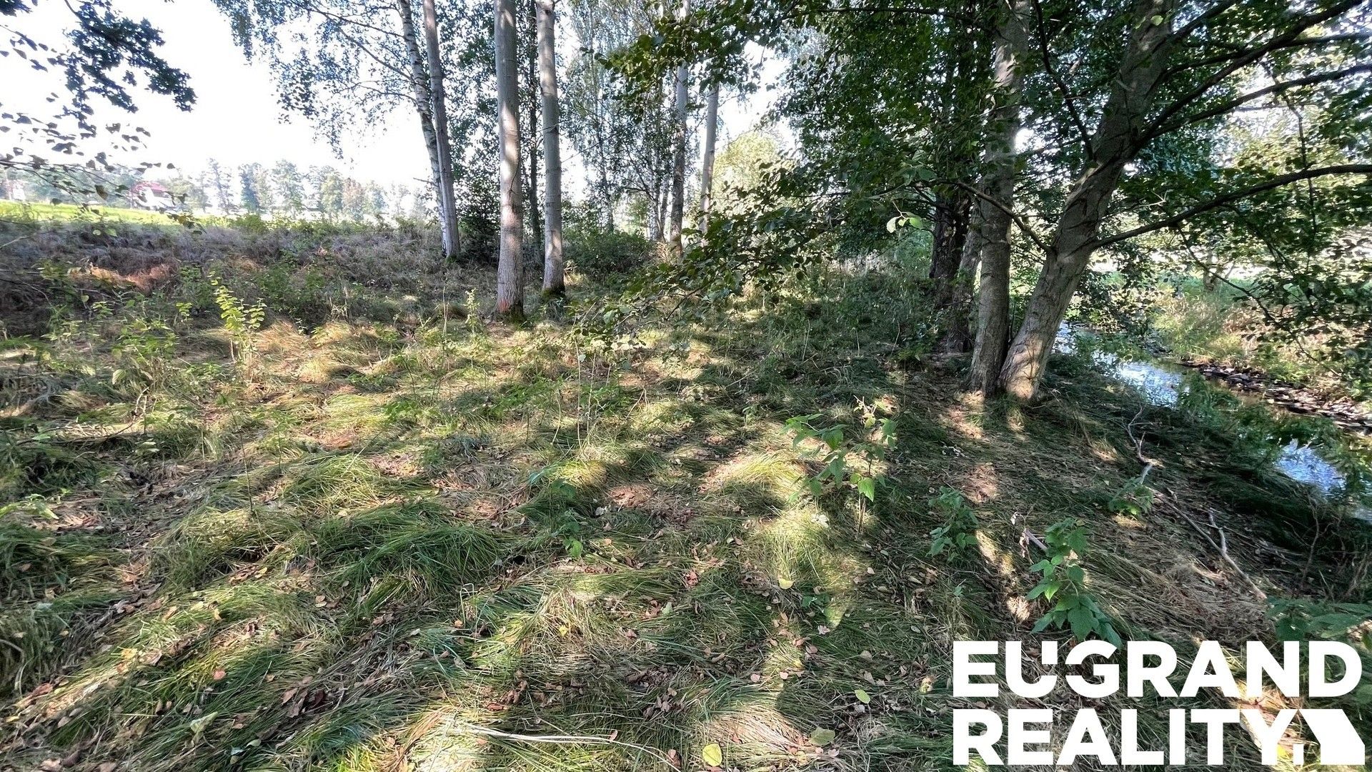 Prodej louka - Šluknov - 5