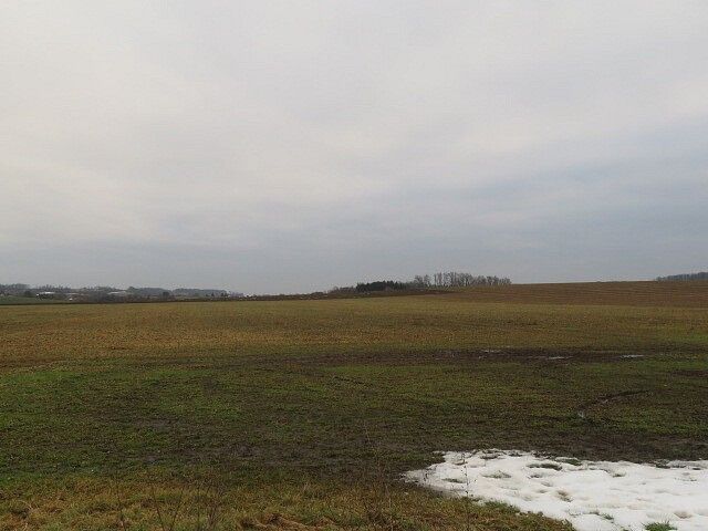Prodej louka - Račice nad Trotinou - 5