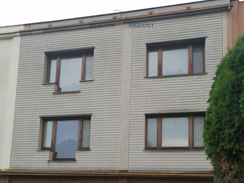 Rodinné domy, Fibichova, Břeclav, 309 m²