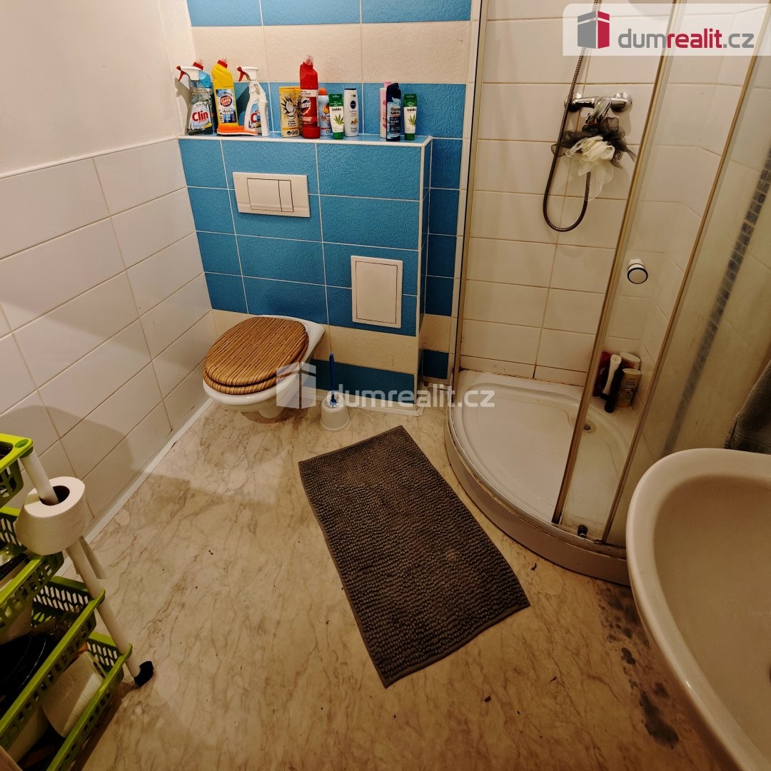 Pronájem byt 1+1 - Kamenická, Děčín, 45 m² - 5