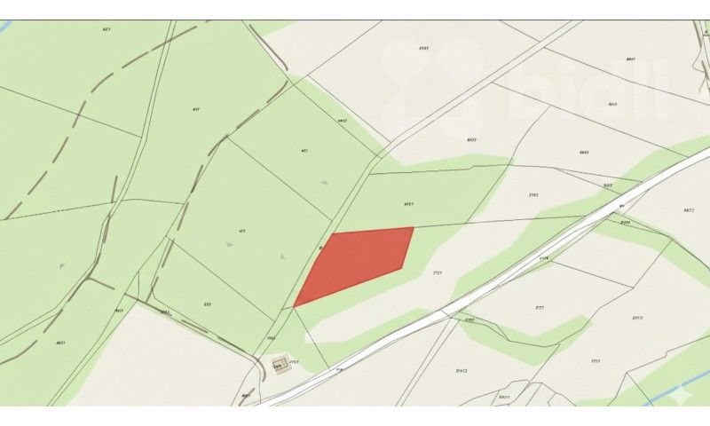 Prodej les - Bohdalovice, Velké Hamry