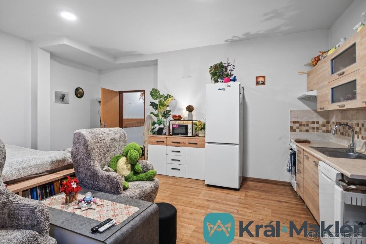 Pronájem byt - Roudnice nad Labem, 413 01