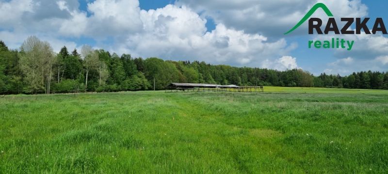 Pozemky pro bydlení, Přimda, 348 06 - 1