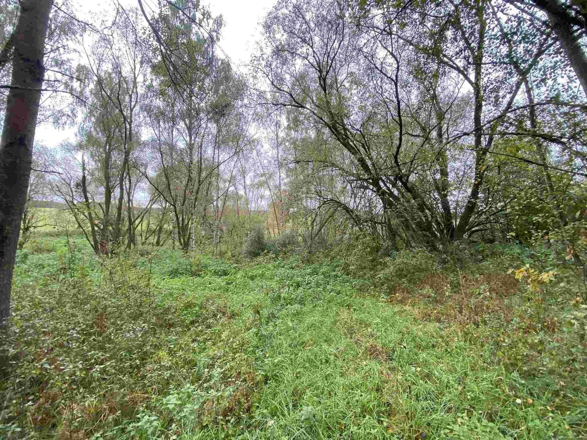 Prodej pozemek - Horní Dvořiště, 10 m²