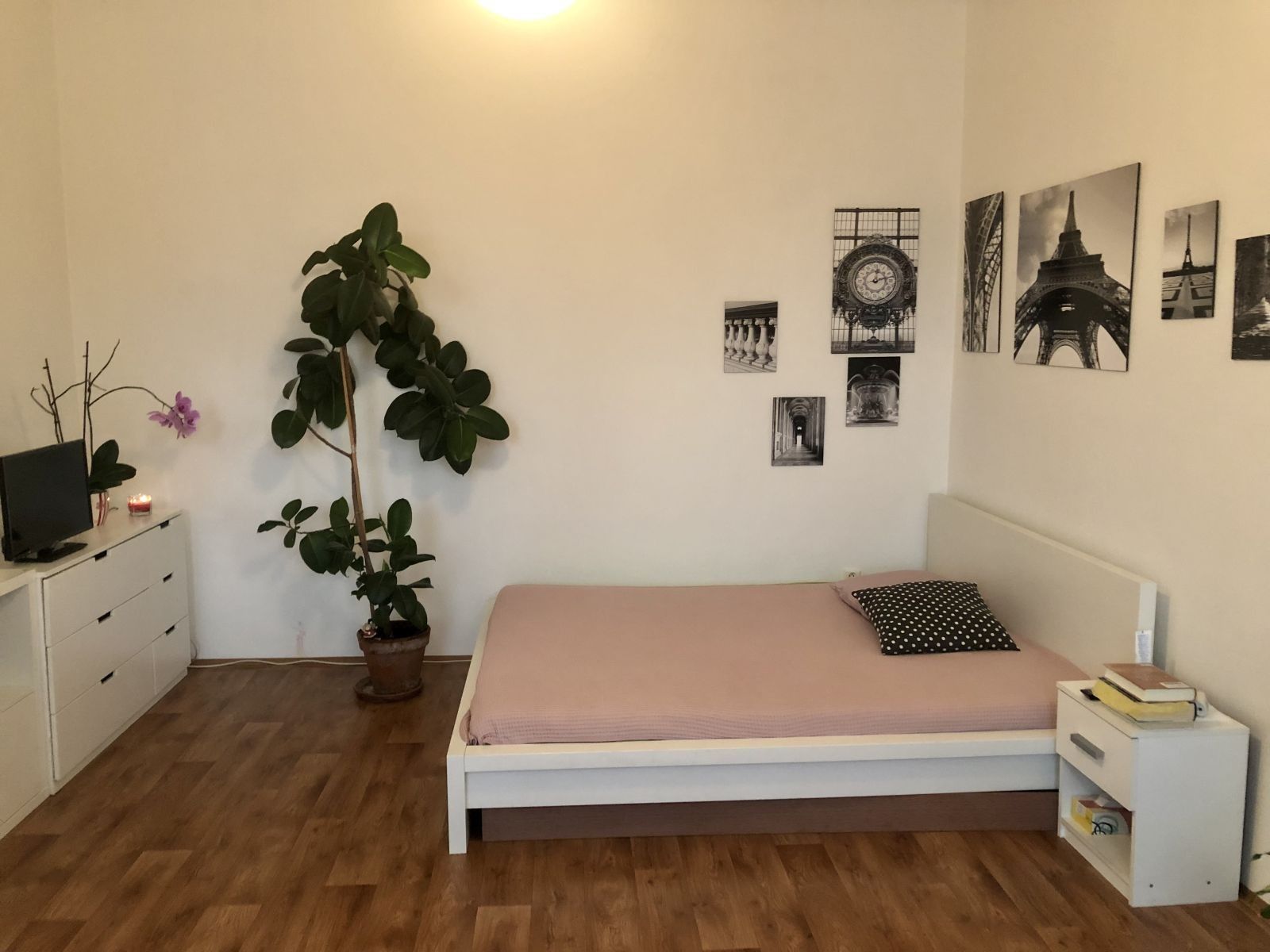 1+kk, Na hrázi, Olomouc - Klášterní Hradisko, Olomoucký kraj, 50 m² - 1