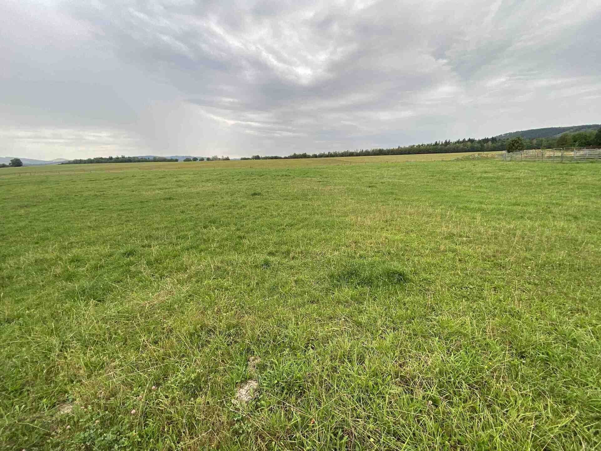 Pozemky pro bydlení, Králíky, 4 246 m² - 1