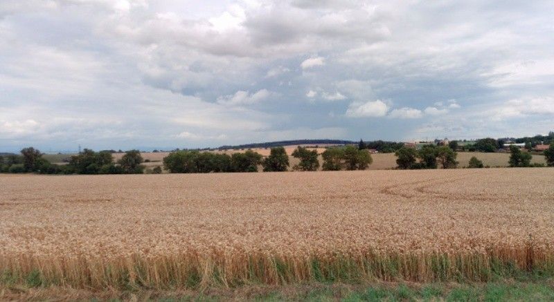 Zemědělské pozemky, Pavlovice u Kojetína, 5 603 m²