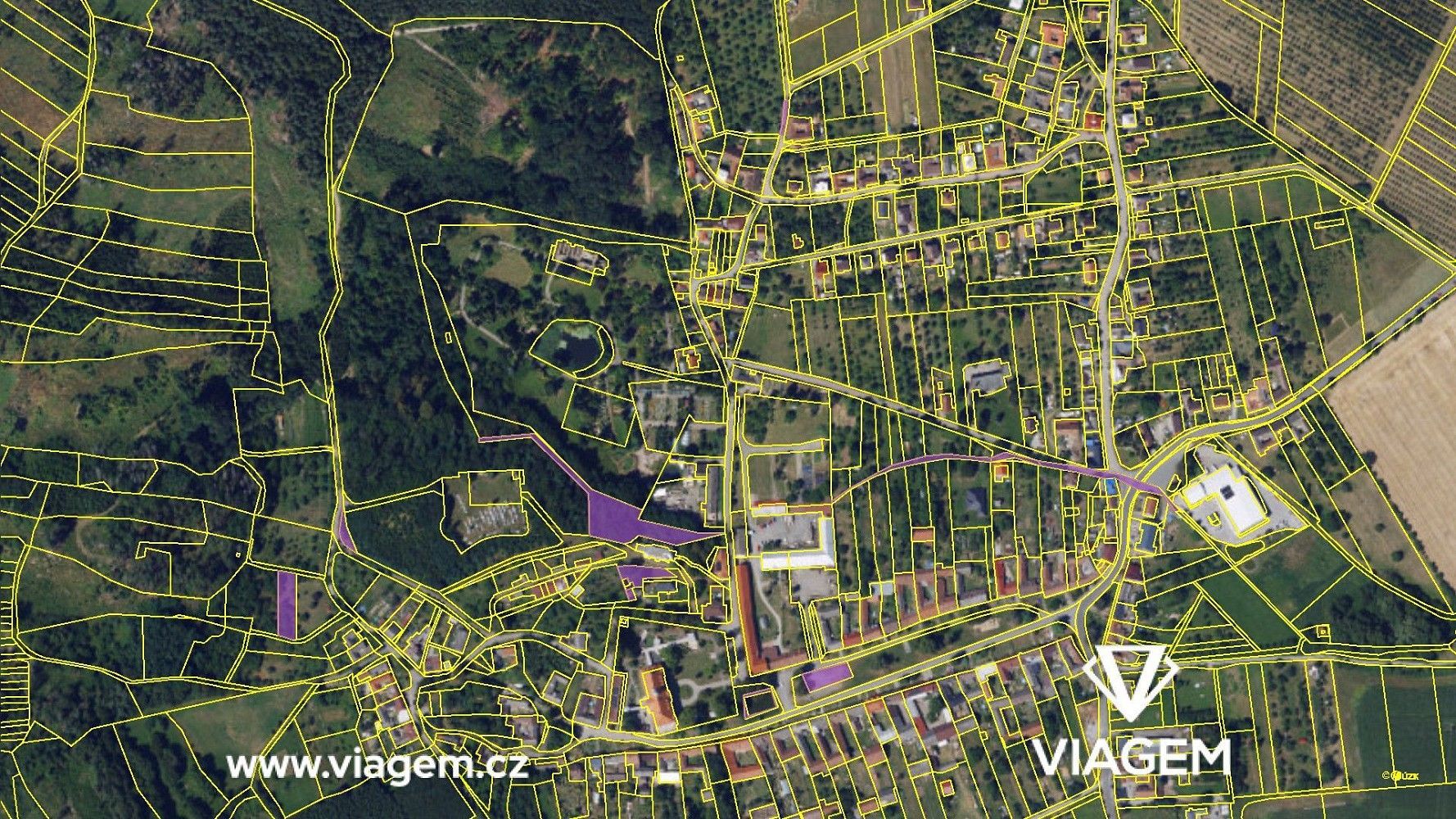 Zemědělský pozemek · Borotín, okres Blansko, Jihomoravský kraj - 4