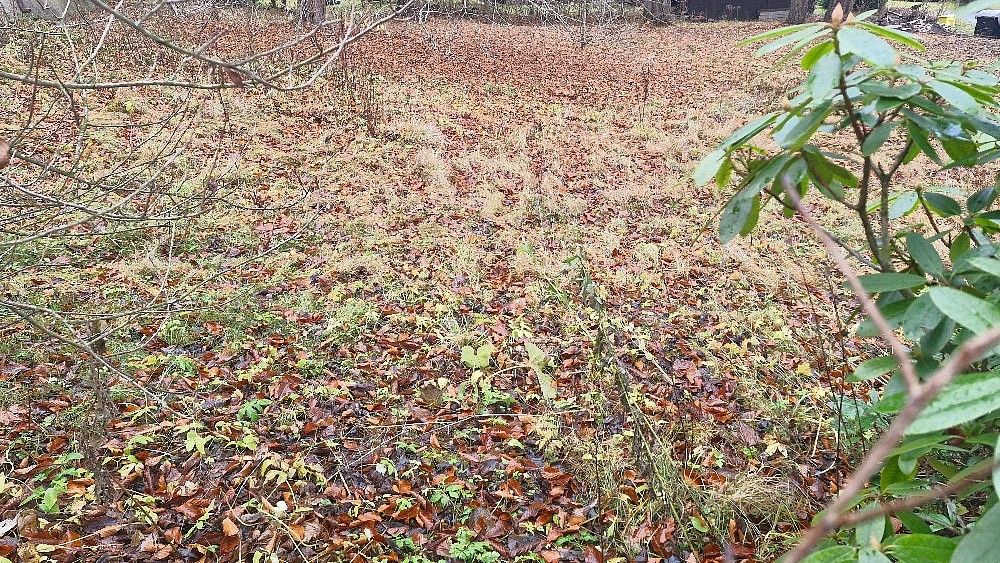 Pozemek pro bydlení · Karlova Studánka, okres Bruntál - 4