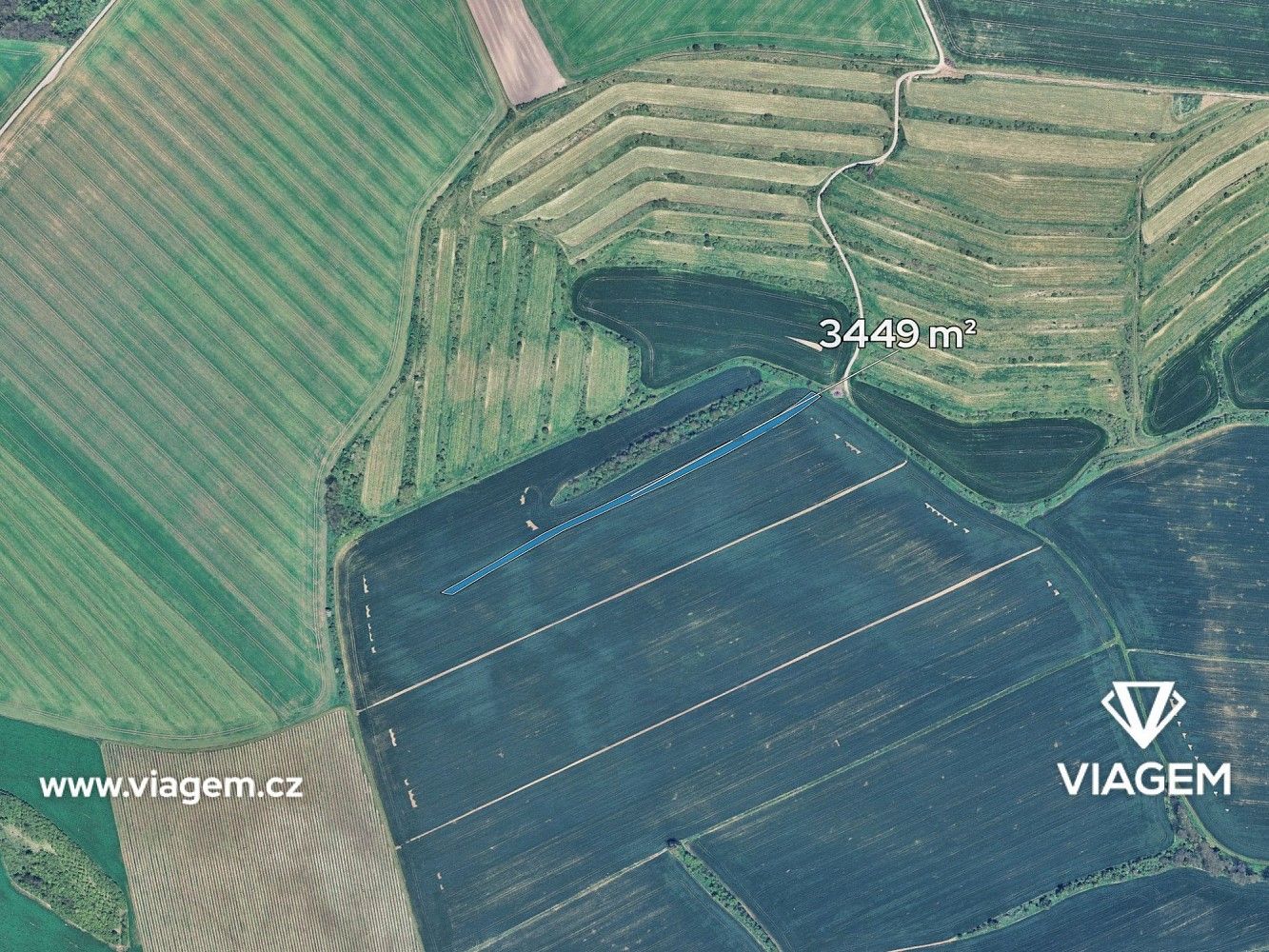 Prodej zemědělský pozemek - Nosislav, okres Brno-venkov, Jihomoravský kraj - 2