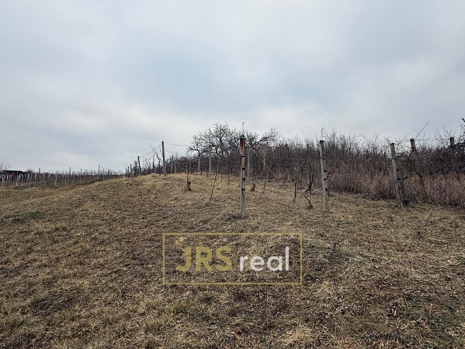 Prodej zemědělský pozemek - Bzenec