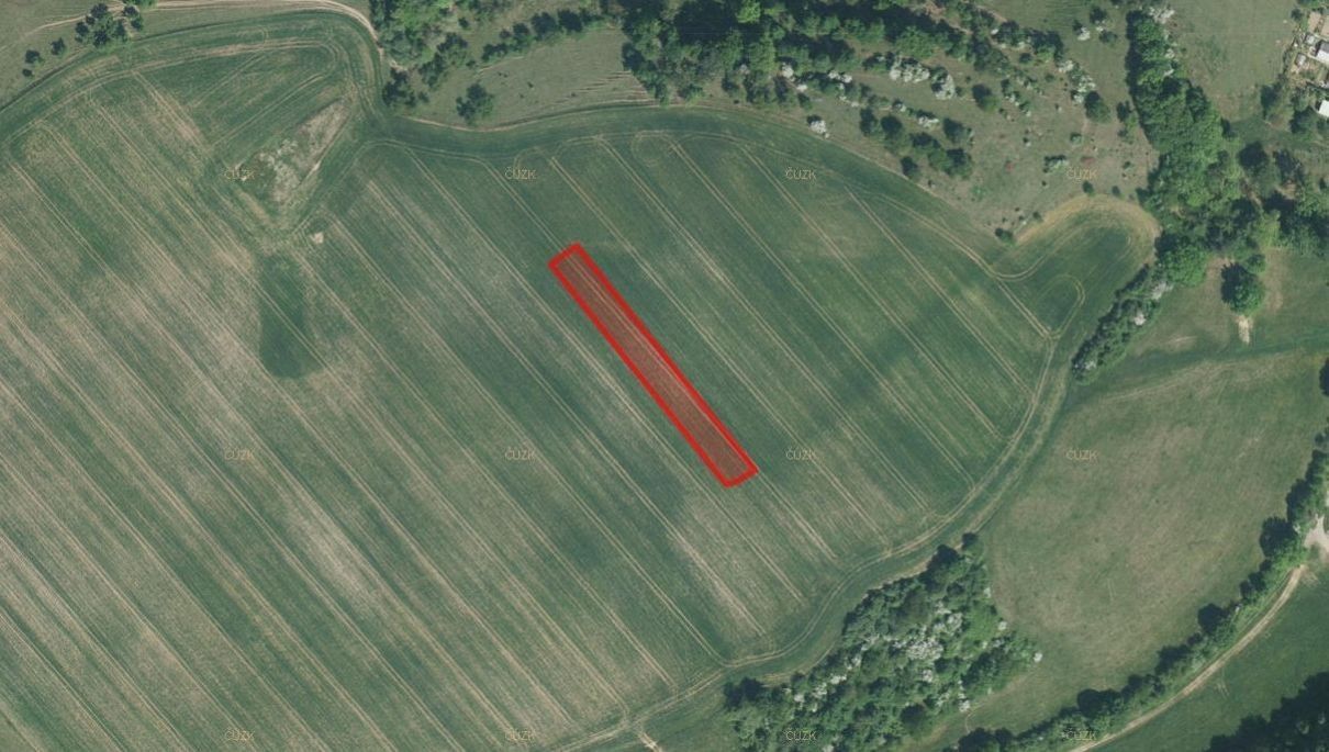 Prodej zemědělský pozemek - Lubná