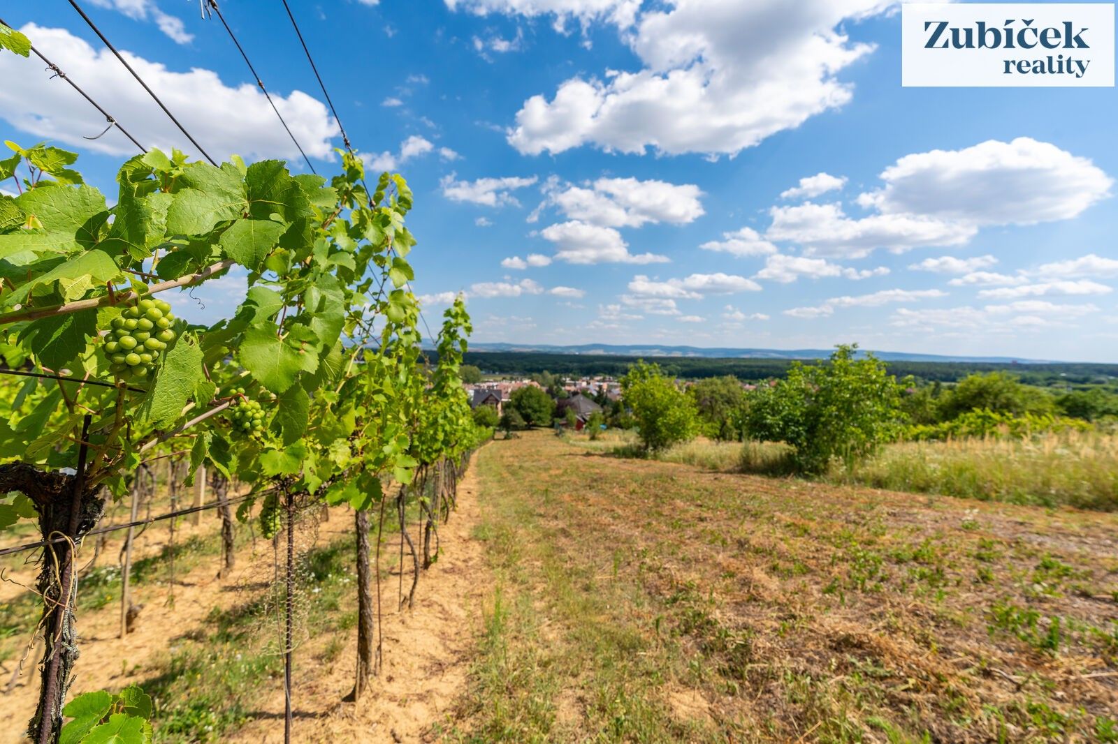 Prodej pozemek pro bydlení - Bzenec, 2 654 m² - 5
