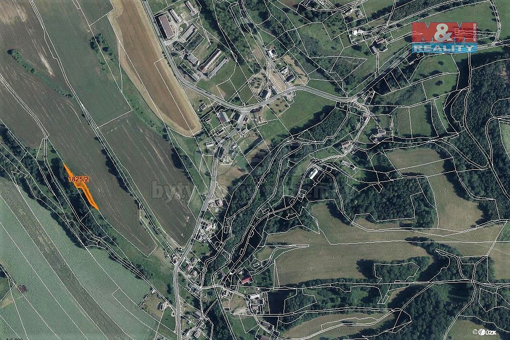 Les · Dubnice, okres Česká Lípa, Liberecký kraj - 3
