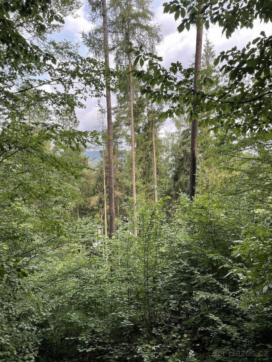 Prodej pozemek pro bydlení - Bohdíkov, 789 64