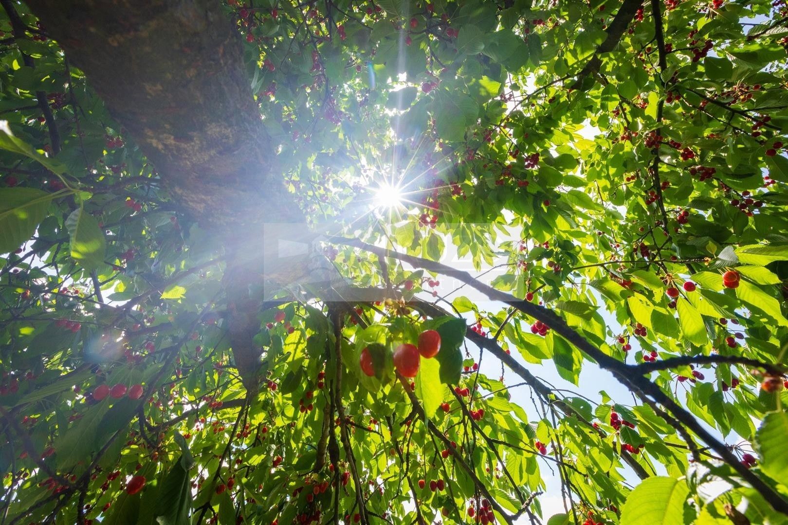 Ostatní, Velké Všelisy, 11 m²