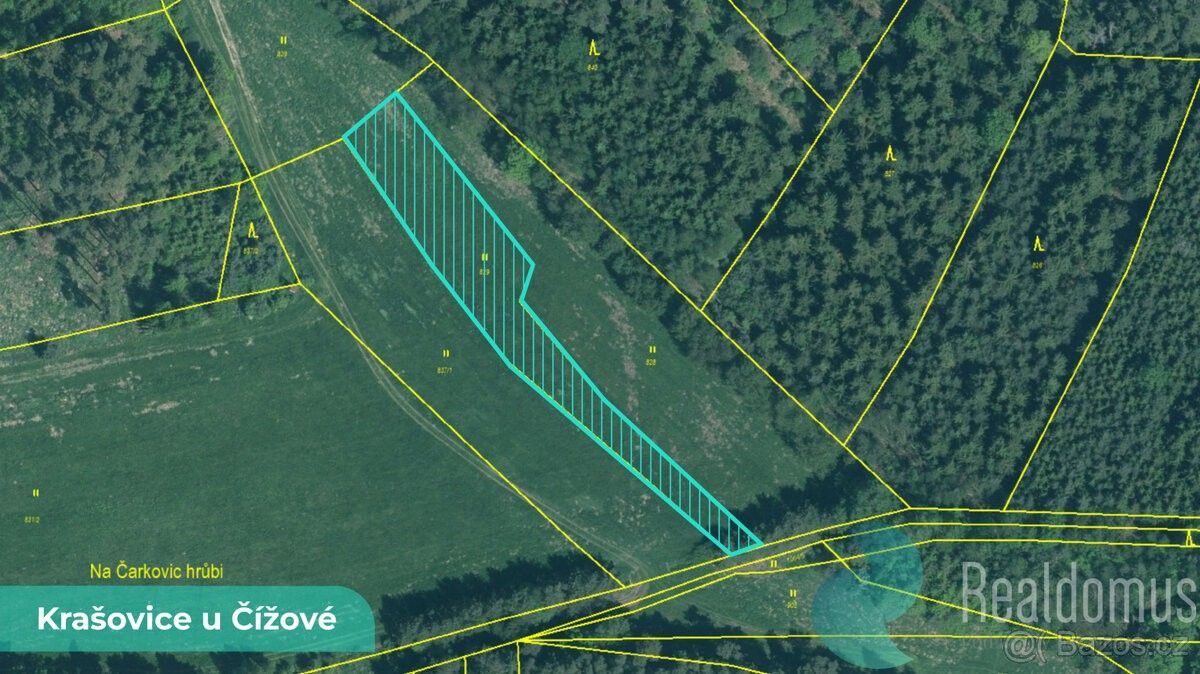 Pozemky pro bydlení, Čížová, 398 31