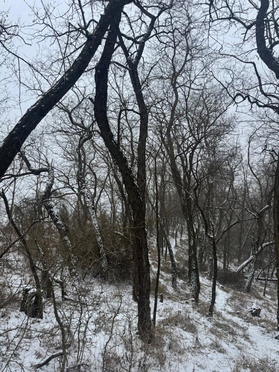 Prodej pozemek pro bydlení - Ivančice, 664 91