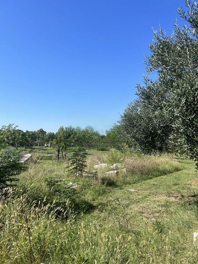 Prodej pozemek pro bydlení - Marčana, HR - 2