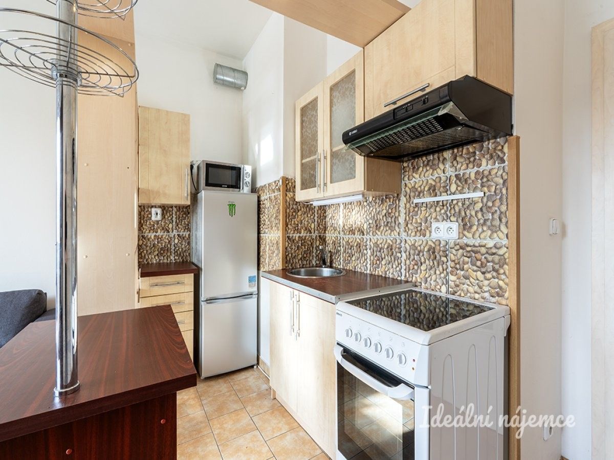 Pronájem byt 1+kk - K Barrandovu, Praha, 27 m²