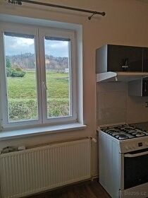 Pronájem byt 2+1 - Děčín XXVIII-Folknáře, 60 m² - 5
