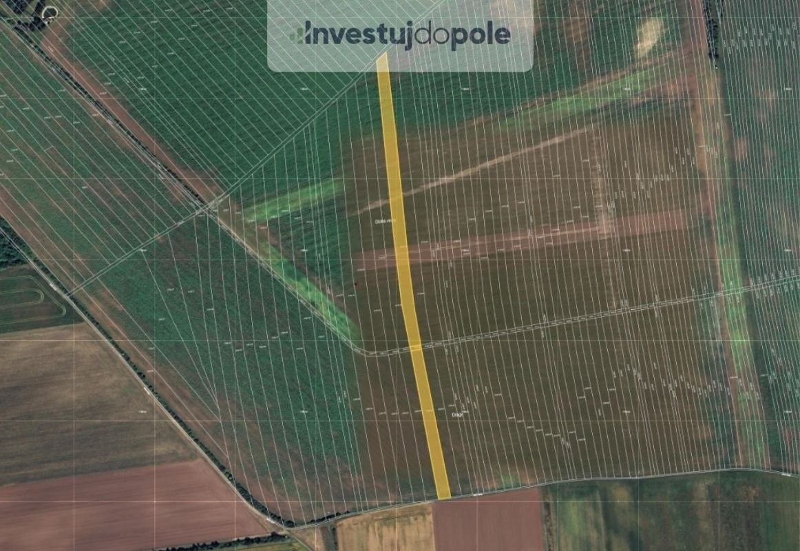 Prodej zemědělský pozemek - Břeclav, 691 41, 8 042 m²