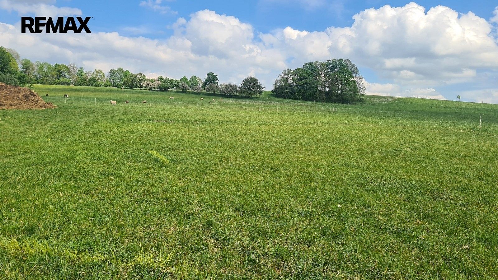 Louka · Čížkov, okres Plzeň-jih, Plzeňský kraj - 4
