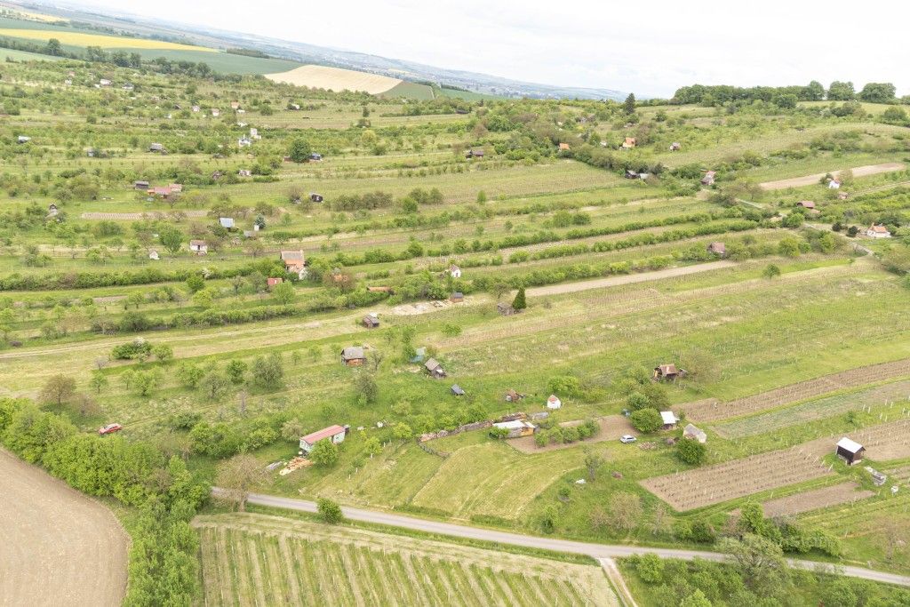 Prodej zemědělský pozemek - Strážnice - 5