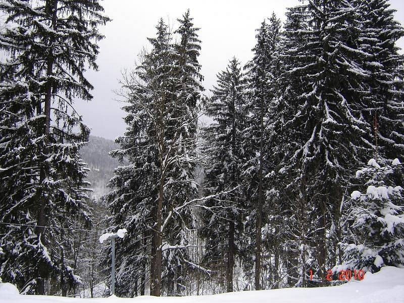 Chata · Rokytnice nad Jizerou - Dolní Rokytnice, Liberecký kraj - 3