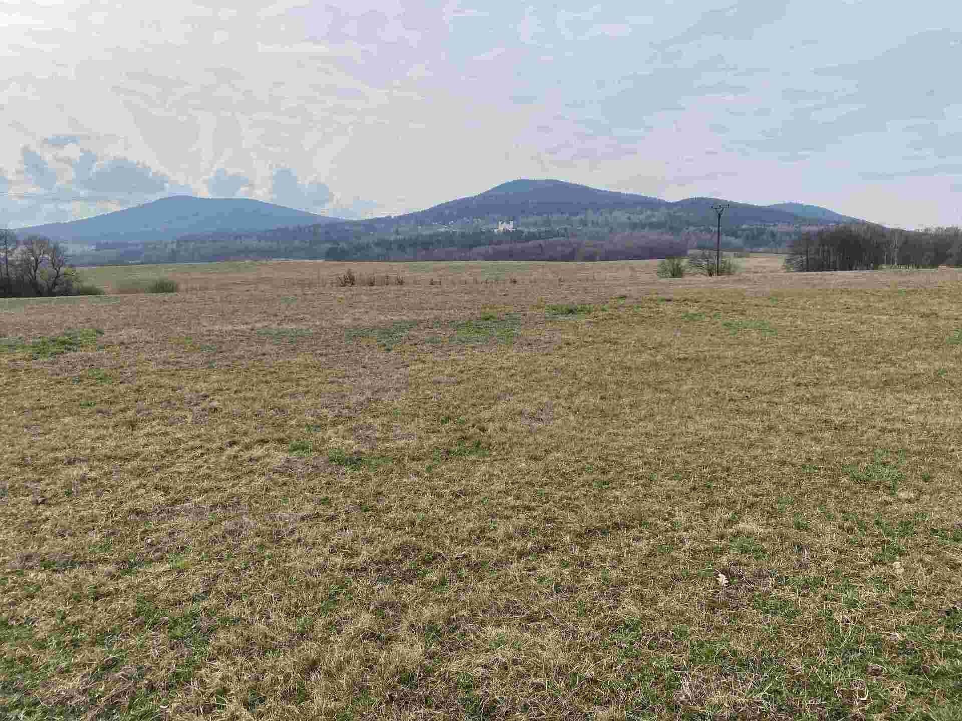 Prodej pozemek pro bydlení - Horní Stropnice Bedřichov, 3 502 m² - 2