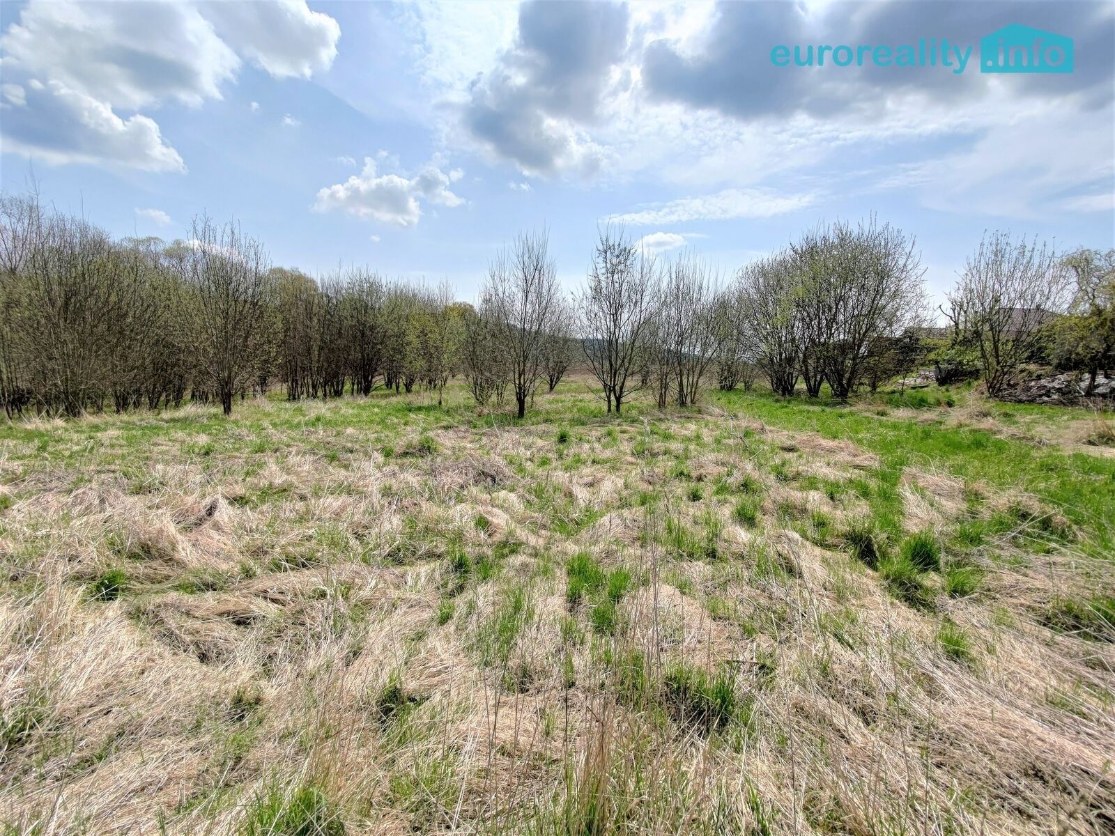Pozemek pro bydlení · 5 800 m² · Planá - 3