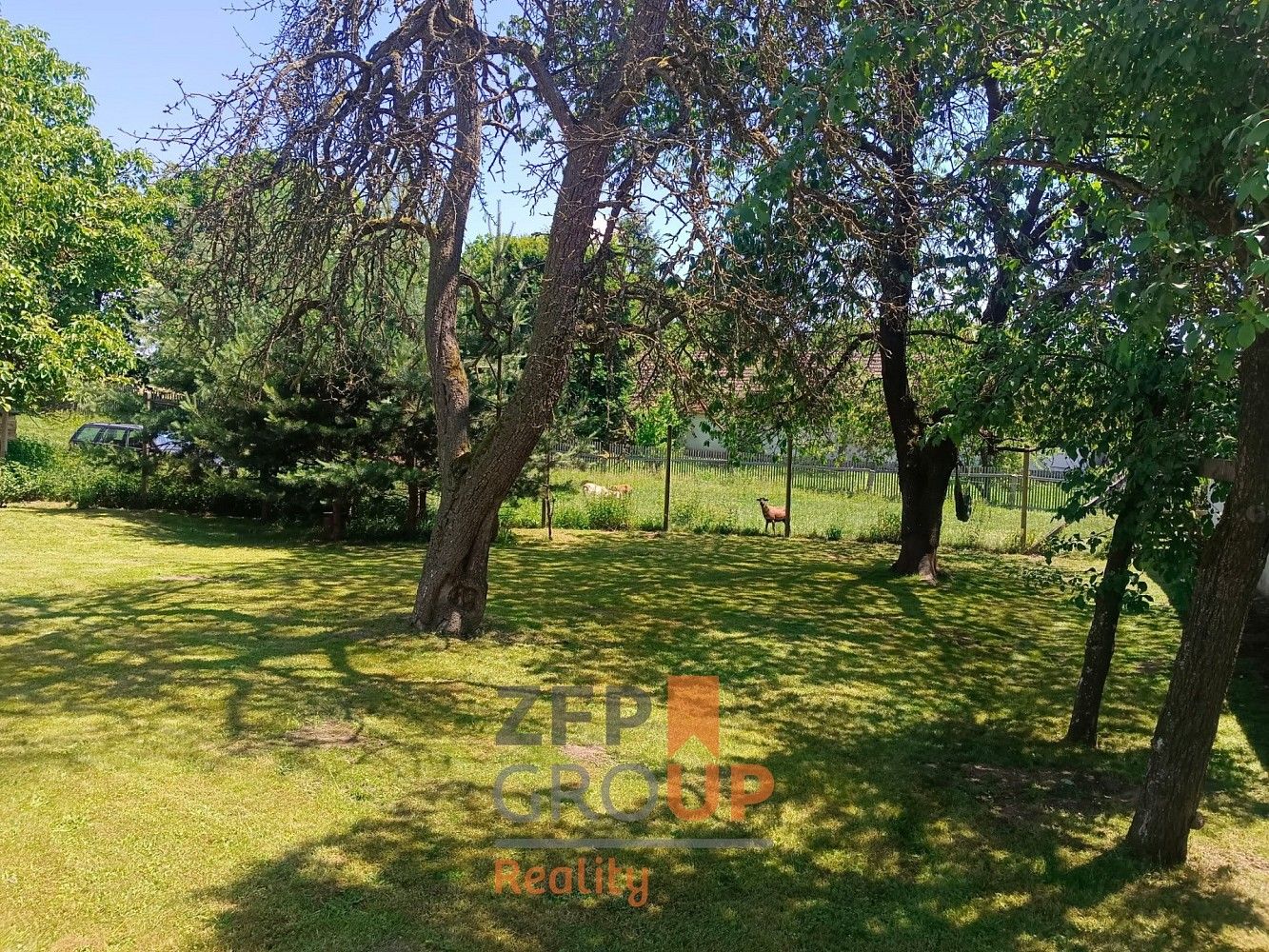 Prodej zahrada - Krasonice, okres Jihlava, Kraj Vysočina - 5