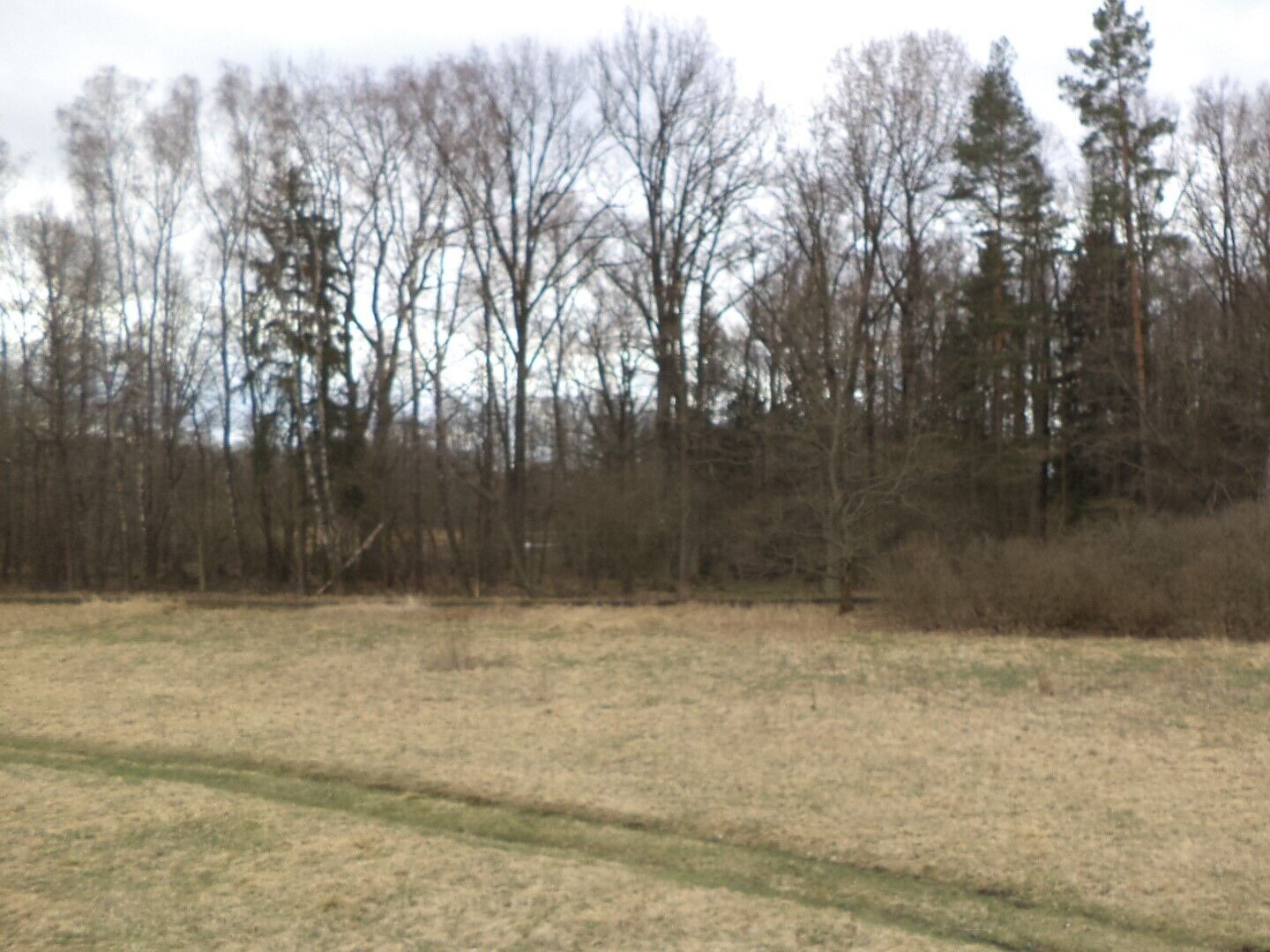 Louka · 6 727 m² · Chlum u Třeboně Lutová - 4