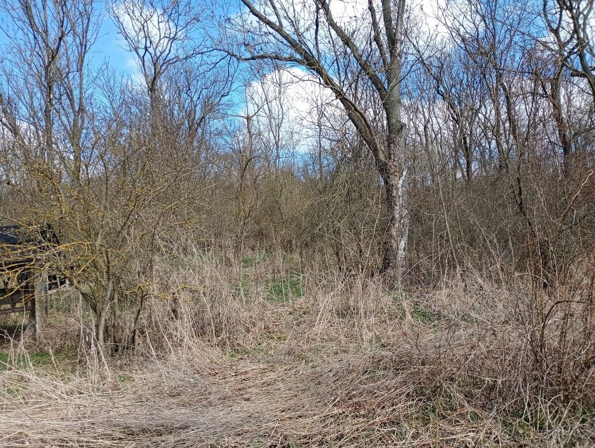 Prodej zahrada - Chodovlice, 411 15