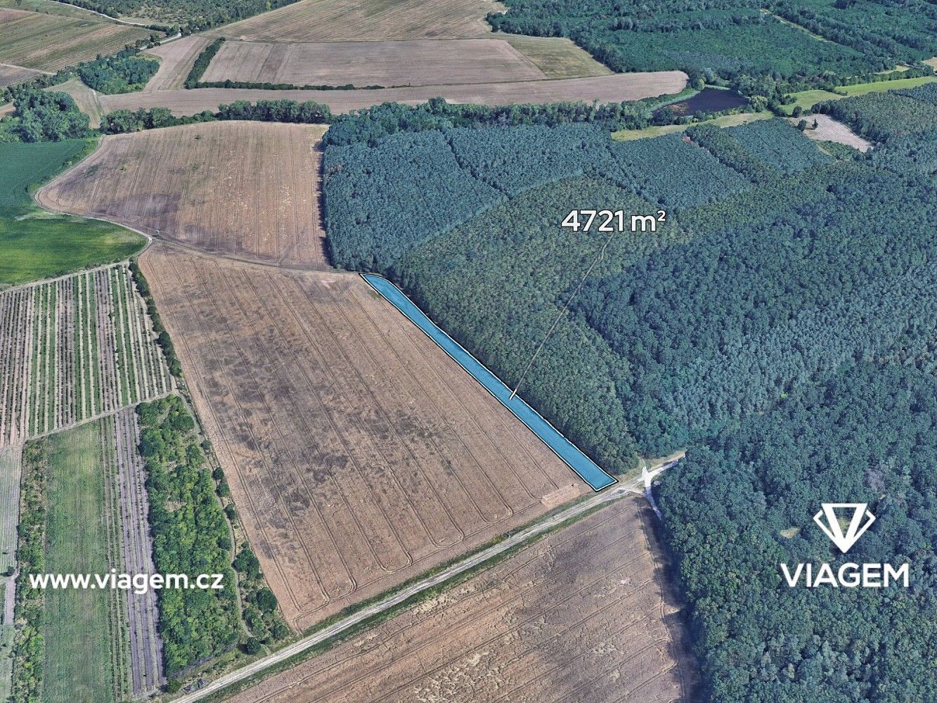 Zemědělské pozemky, Valtice, okres Břeclav, Jihomoravský kraj - 1