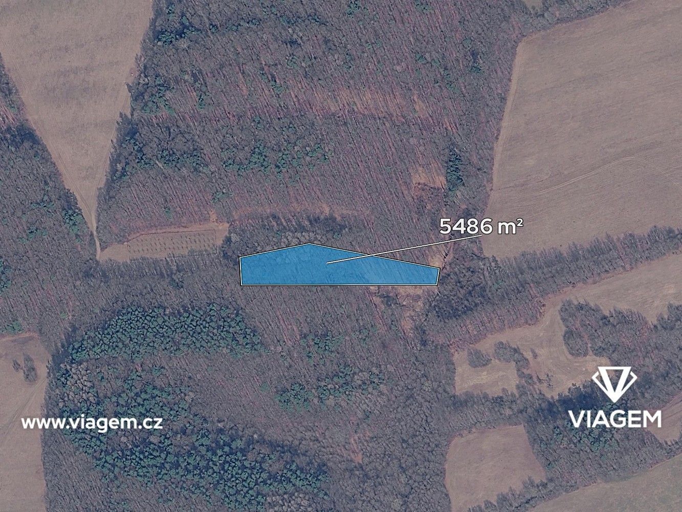 Prodej les - Březůvky, okres Zlín, Zlínský kraj - 2