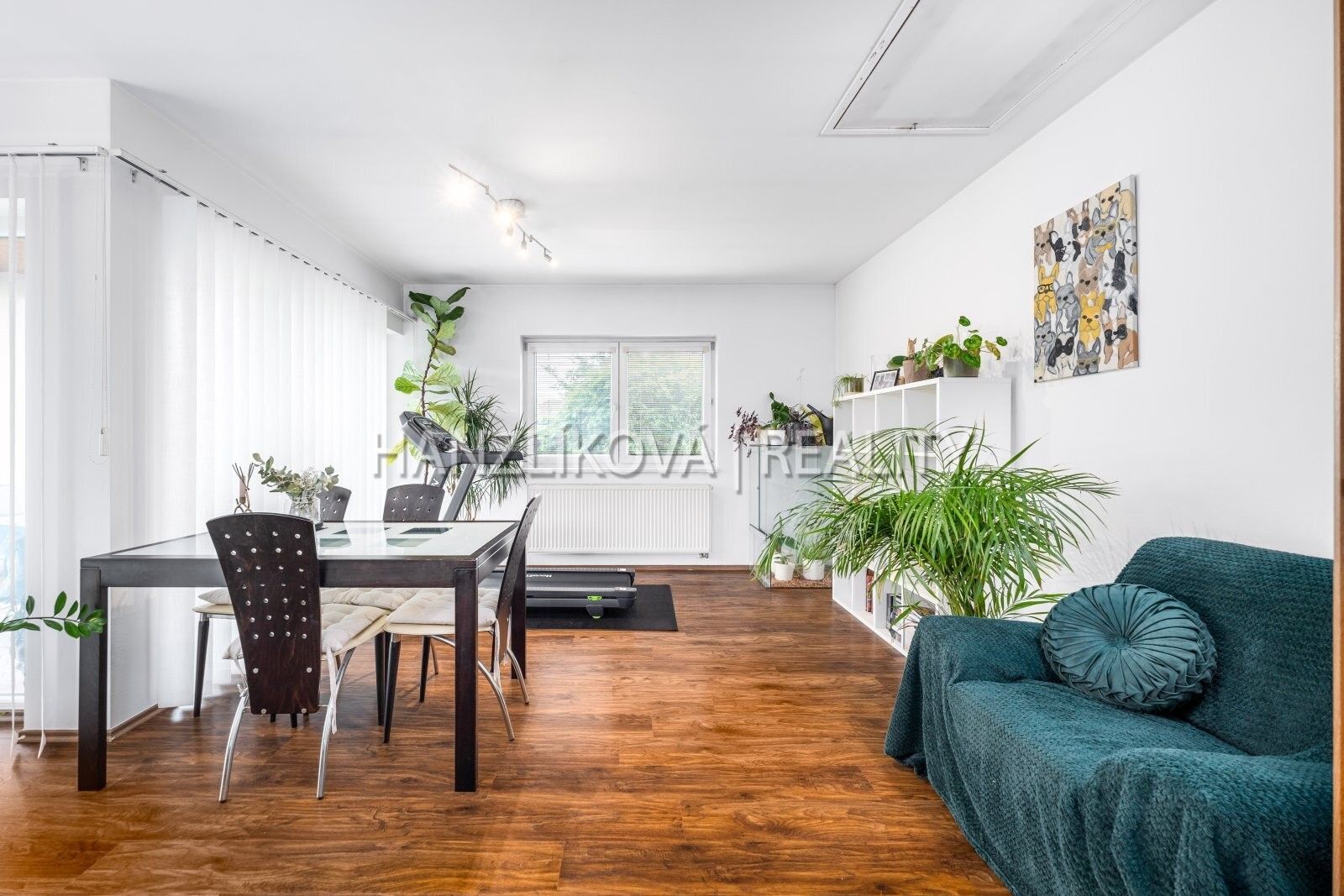 Rodinné domy, Horní 29, Homole Nové Homole, 112 m² - 2
