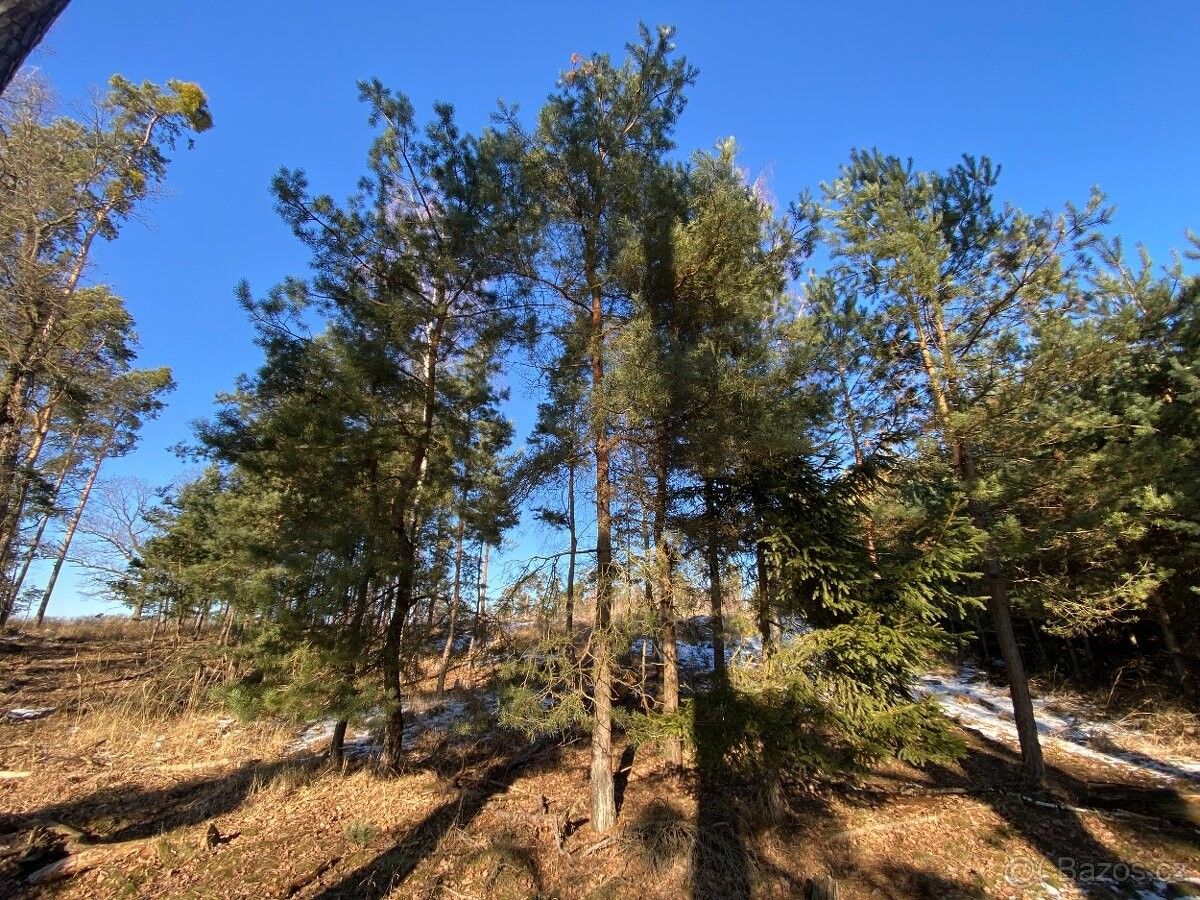 Prodej pozemek pro bydlení - Holice v Čechách, 534 01