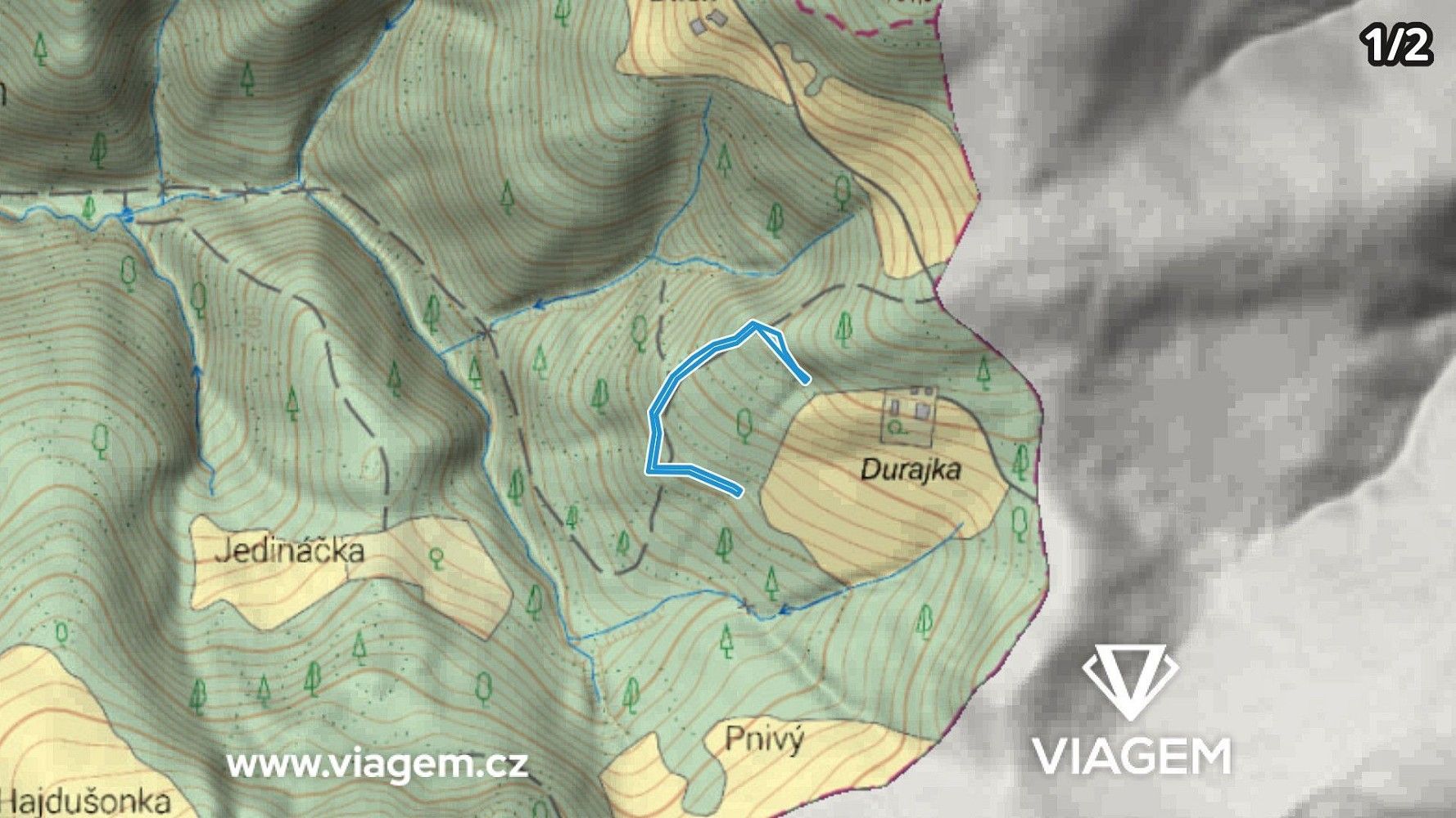Les · Hrčava, okres Frýdek-Místek, Moravskoslezský kraj - 3