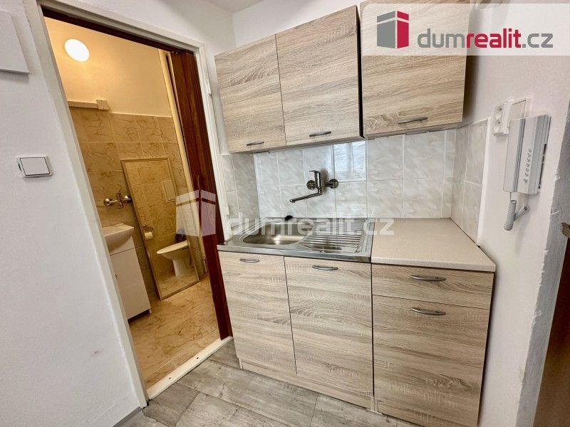 1+kk, Moskevská, Ústí nad Labem, 21 m²