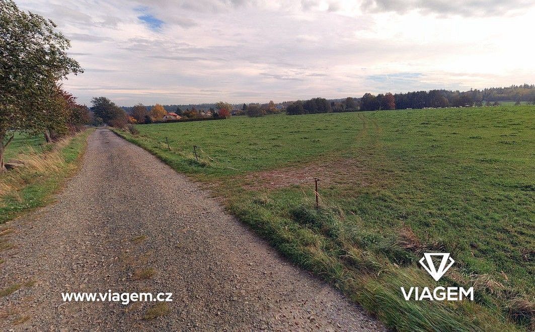 Zemědělský pozemek · Nasavrky, okres Chrudim - 3