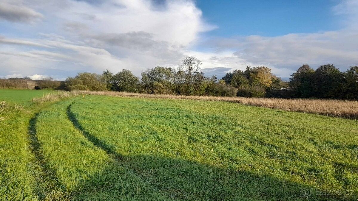 Prodej pozemek pro bydlení - Čachovice u Mladé Boleslavě, 294 43