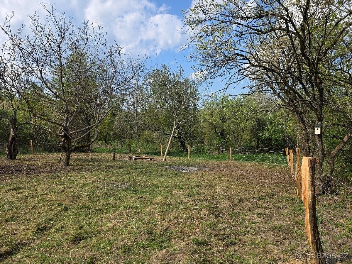 Zahrada, Boršice – další