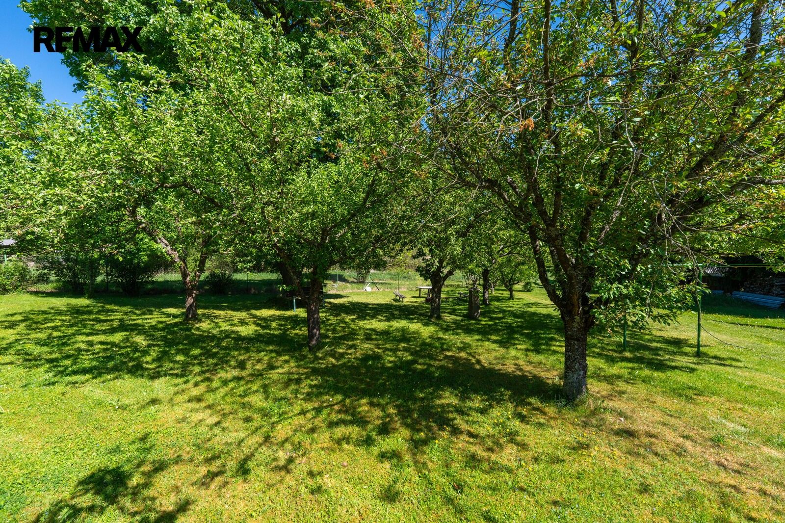 Prodej pozemek pro bydlení - V Domkách  , Horní Planá, 1 408 m² - 5