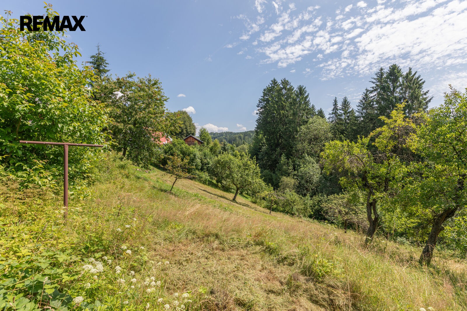 Prodej rodinný dům - Zlatá Olešnice Lhotka, 190 m² - 5